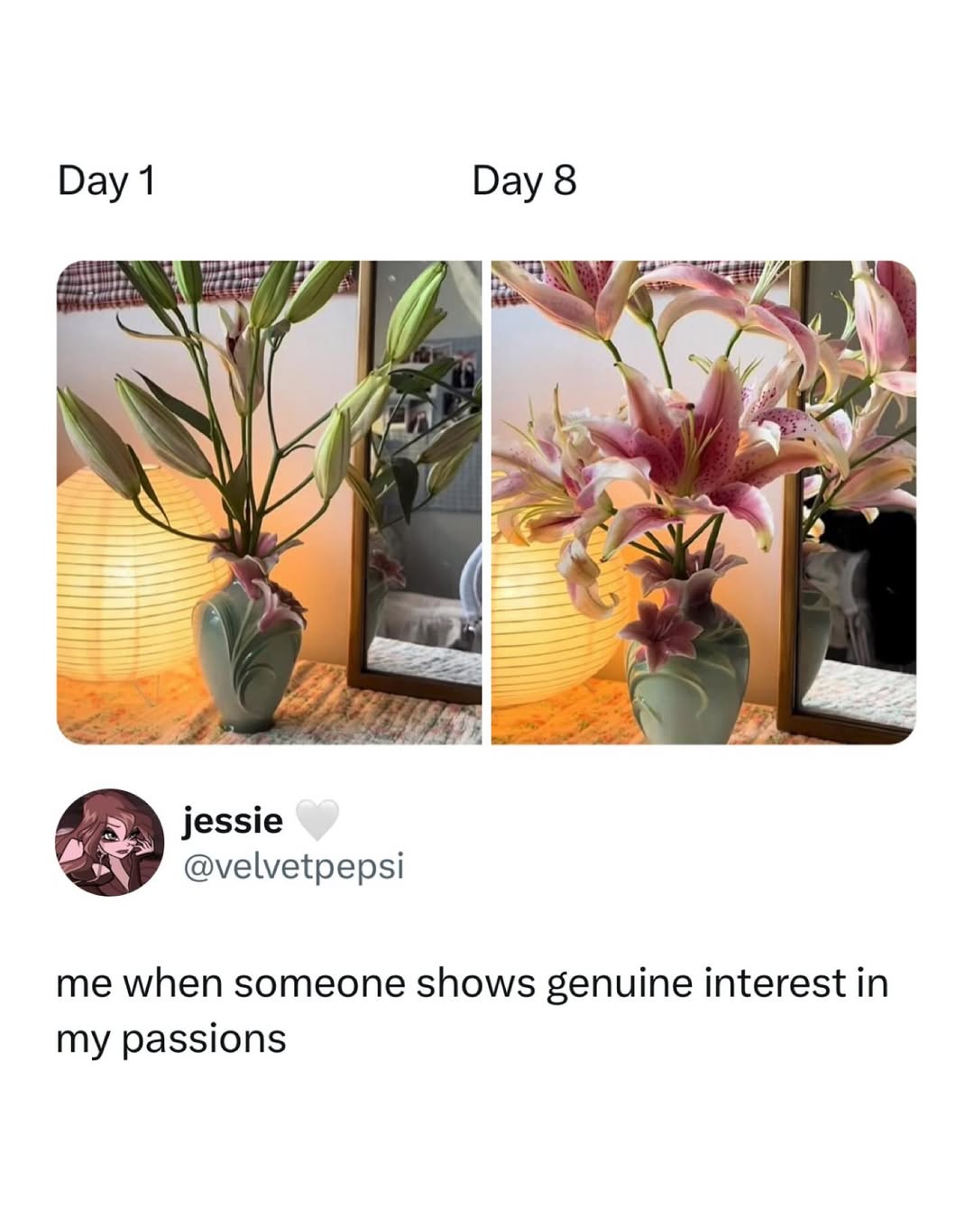 When someone shows genuine interest in my passions — that’s a kind of love that feels like sunshine. 🌞💛
#SeenAndHeard #RealConnections #OopsydaisyLK #SupportMatters #LittleThingsBigLove