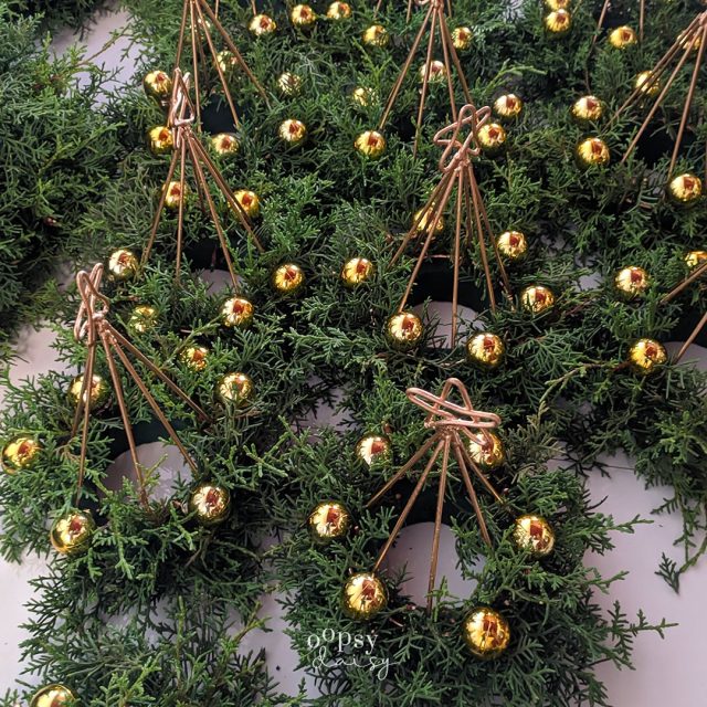 Though we’re just weeks away from Christmas, the air feels heavier this year. 🇱🇰💔
With the flooding across our motherland, we remember the families affected and honour the lives lost.

May we hold space for compassion, strength, and healing during this season.

#SriLankaStrong #InOurHearts #TogetherWeHeal #FloodReliefSL #OopsydaisyFlowers #PrayersForSriLanka #StaySafeSriLanka #CommunityInCrisis #RememberingLivesLost