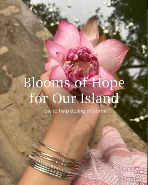 No act of kindness is too small when our island is hurting. 🇱🇰
If your home is dry, if your loved ones are near, if today feels normal…
use that strength for someone who’s still fighting to find theirs.
Give what you can. Share what you know. Stand with those who can’t stand alone.
Because when we rise for each other, our island finds hope again. 🤍
Here are 5 ways you can help today:
1️⃣ Provide essential supplies — clean water, dry rations, hygiene items, baby needs, medicines.
2️⃣ Support safe shelters — share verified shelter locations and drop-off points.
3️⃣ Volunteer your time — help with packing, delivering meals, transport, or on-ground assistance.
4️⃣ Donate wisely — contribute to trusted, verified relief funds and local NGOs.
5️⃣ Share information — weather updates, rescue hotlines, safe areas, missing person posts.
Together, we rise. Together, we rebuild. 🇱🇰✨
#SriLankaStrong #StandTogetherSL #FloodReliefSL #HelpSriLanka #IslandTogether #CommunityFirst #WeRiseAsOne #SupportAndServe