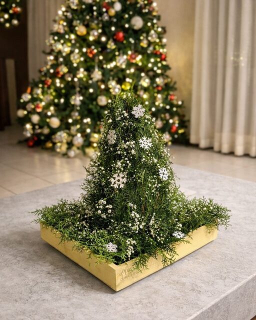 Celebrating togetherness at home this Christmas 🤍🎄
Watching our clients’ homes come alive with festive blooms, fresh foliage, and moments made to be shared.
Because the most beautiful celebrations always begin at home."

#CelebrateTogetherness #ChristmasAtHome #FestiveHomes #FloralChristmas #OopsydaisyFlowers #HolidayDecor #ClientHomes #SeasonOfJoy #SriLankaChristmas #HomeInBloom