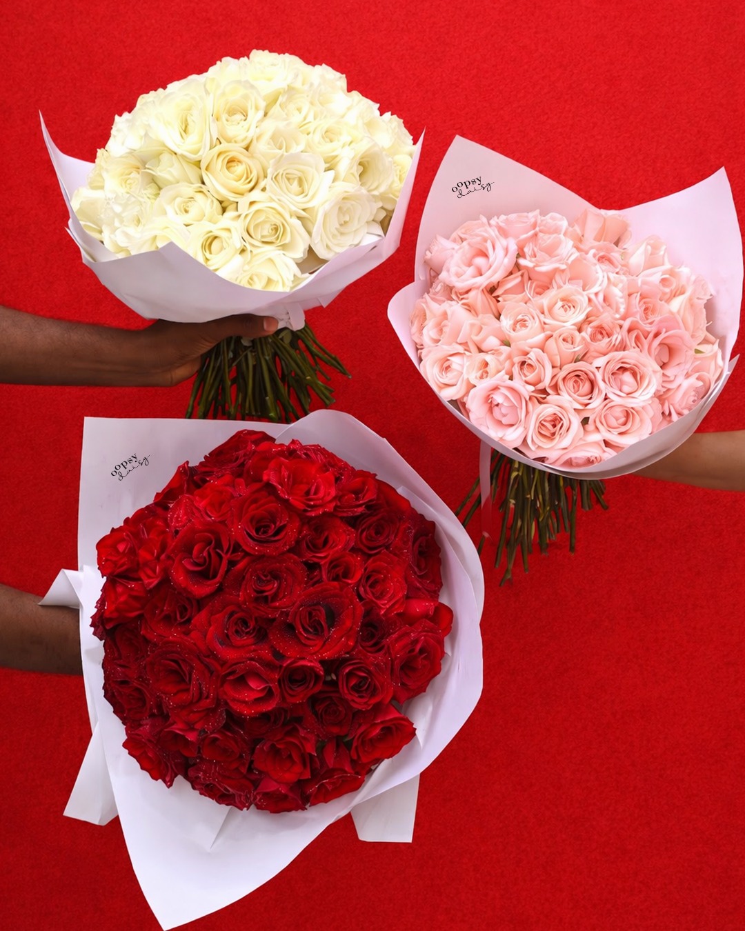 Love comes in every shade of red, blush, and ivory 🌹✨
Say it with roses that speak straight from the heart.
Which bouquet tells your love story?
#LoveMail #SayItWithFlowers #RosesOfLove #ValentinesVibes #RomanticMoments #FlowerBouquet #RedRoses #BlushRoses #WhiteRoses #LoveInBloom #FlowerLovers #GiftWithLove #Oopsydaisy #SriLankaFlowers