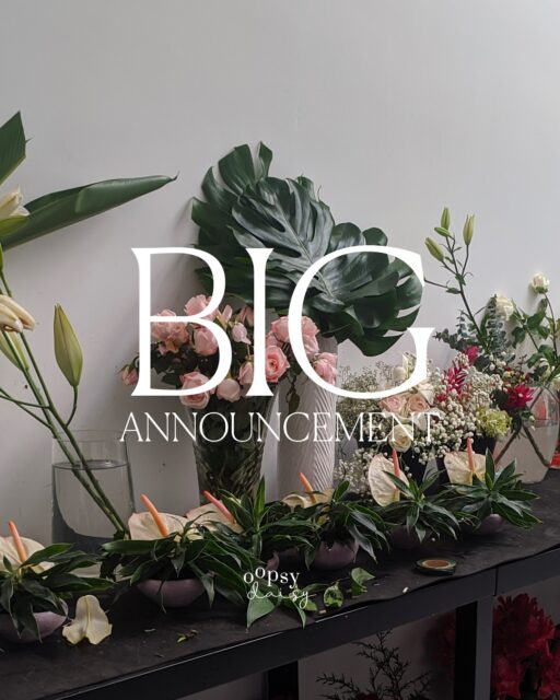 NEW AT OOPSYDAISY 🌸
Introducing our newest service: Ex-Press Blooms™ 💔

Send your ex one emotionally confusing flower every month.

Choose from:

A single rose 🌹 “You fumbled.”
One sunflower 🌻 “I’m thriving.”
Baby’s breath 🤍 “No hard feelings… just memories.”

Anonymous delivery available.
Launching today only.

 #Oopsydaisy #FlowerShopHumor #SriLankaFlowers #FunnyFlowerPost #BloomWithDrama #SocialMediaPost #FloristLife