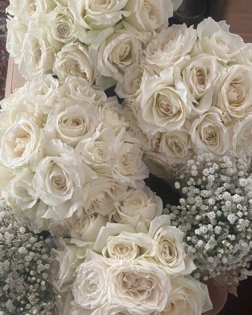 Our one-of-a-kind bridal bouquets are crafted fresh in every aspect to make your special day truly unforgettable 🤍💐

Elegant, timeless, and designed just for you.

Book now or contact us on WhatsApp: +94 77 242 1985

#BridalBouquet #WeddingFlowers #LuxuryWeddings #BrideToBe #FreshFlowers #OopsydaisyLK #SriLankaWeddings #WeddingInspiration #FloralDesign #CustomBouquets #BridalFlowers